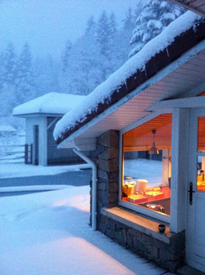 Le Chalet Blanc - Jacuzzi / Piscine / Sauna Gérardmer Exteriör bild